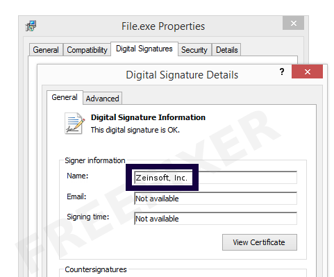 Screenshot of the Zeinsoft, Inc. certificate